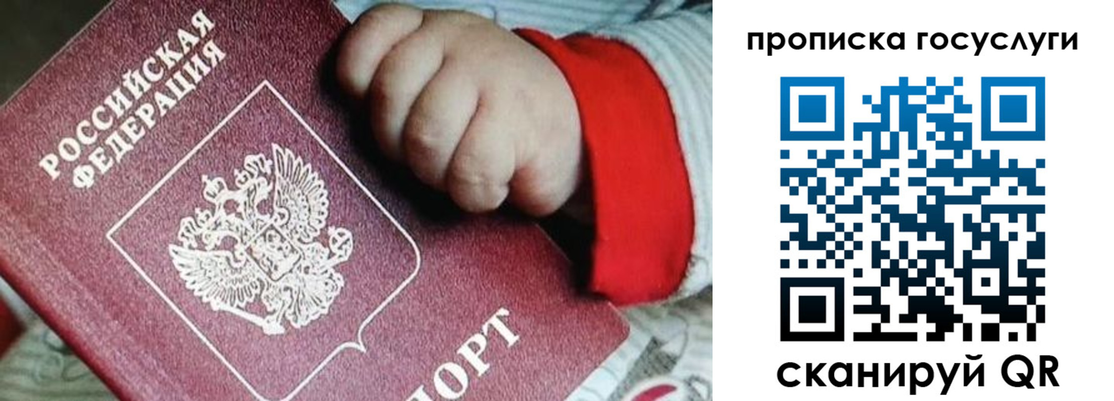прописка штамп в Жирновске